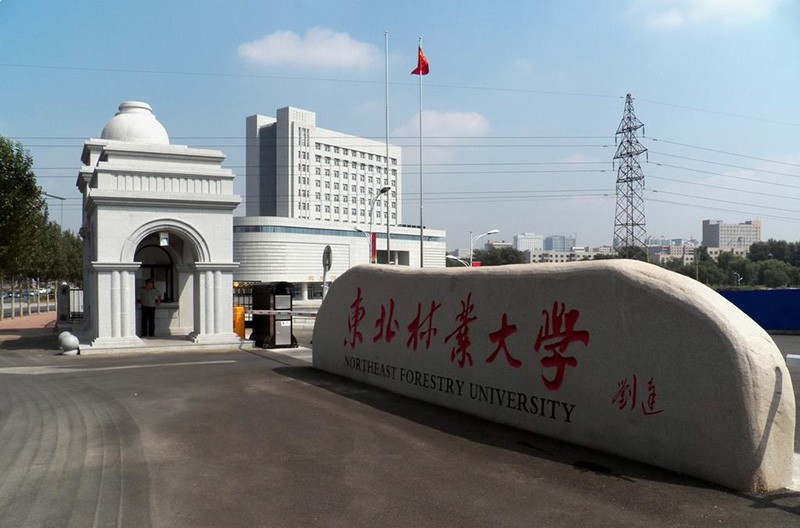 東北林業(yè)大學(xué) 東北林業(yè)大學(xué)